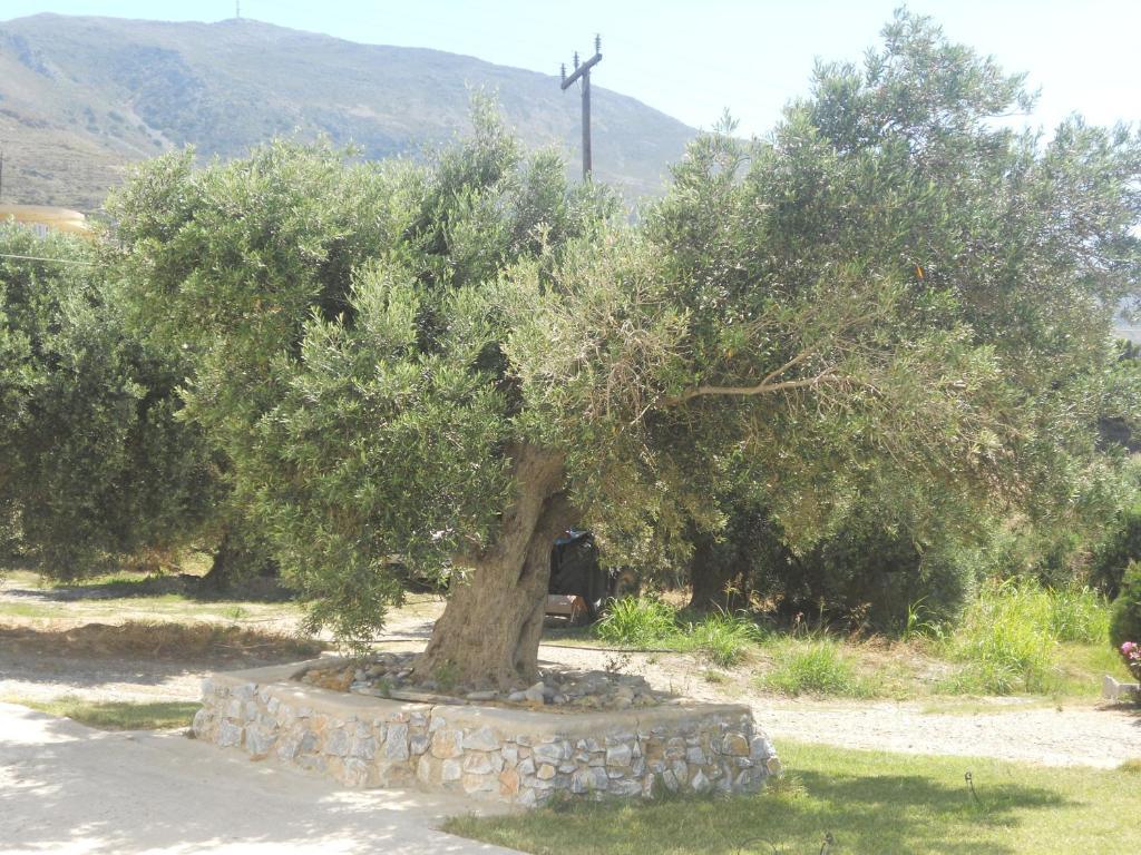פלאקיאס Galini Apartments מראה חיצוני תמונה